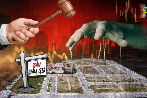 Cần xử lý hình sự hành vi lũng đoạn, 'phá' đấu giá đất