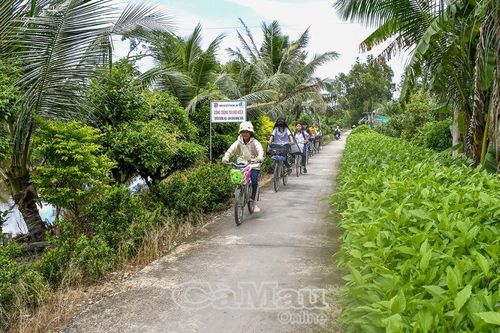 Bình dị đất rừng U Minh