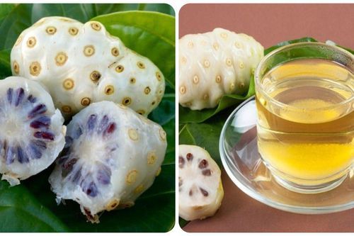 Uống nước quả nhàu hàng ngày có tác dụng gì?