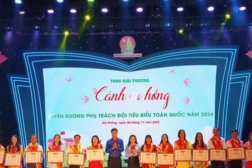 35 tổng phụ trách Đội nhận Giải thưởng 'Cánh én hồng'
