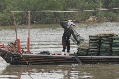 Cận cảnh 'lồng bát quái' tận diệt thủy sản