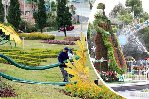 Xứ ngàn hoa Đà Lạt sẵn sàng cho 'bản giao hưởng sắc màu'