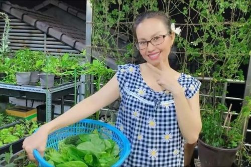 Mãn nhãn khu vườn 'bạc tỷ' trong biệt thự của Cẩm Ly