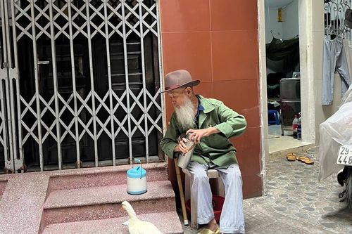 Ông lão Hà Nội nuôi vịt như thú cưng, chiều chiều dắt đi dạo phố