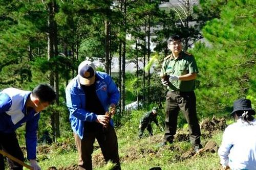 Đà Lạt làm gì để phát triển đô thị sinh thái bền vững?