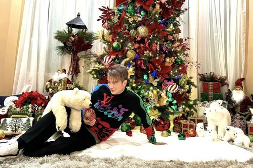 Giữa ồn ào kiện tụng, Đàm Vĩnh Hưng trang hoàng nhà đẹp tại Mỹ đón Noel
