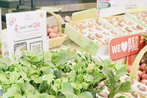 Cơ hội kết nối chuyển đổi số trong nông nghiệp giữa Tây Nguyên và TPHCM