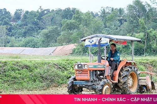 Nông dân Hương Khê sản xuất linh hoạt, bám đuổi tiến độ vụ đông