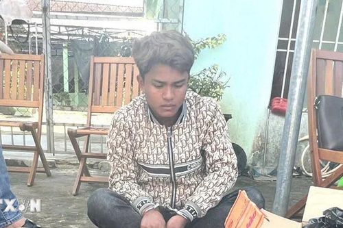 Bắt giữ vụ vận chuyển 18.000 viên ma túy từ Lào về Việt Nam