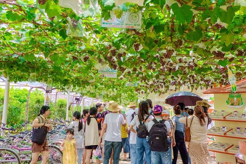 Phát triển du lịch xanh trong lòng đô thị: Mở rộng các giá trị