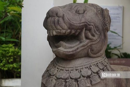 Sư tử đá thành Đồ Bàn: Câu chuyện về một bảo vật quốc gia độc đáo