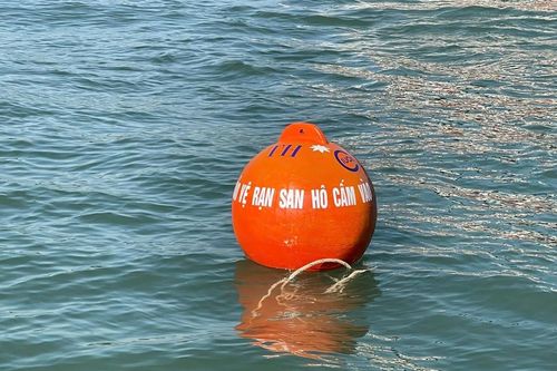 Tập đoàn TH 'cứu' san hô ở Vườn Quốc gia Cát Bà