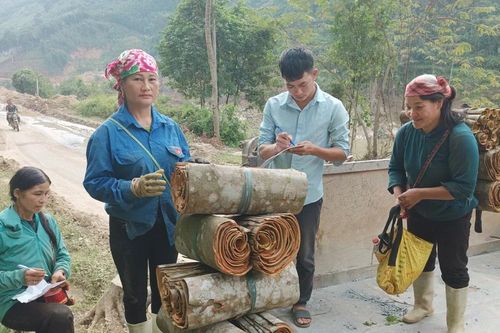 Bắc Hà: Nhân lên các mô hình kinh tế do phụ nữ làm chủ