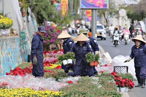 Phố hoa Đà Lạt tất bật trước ngày vào hội