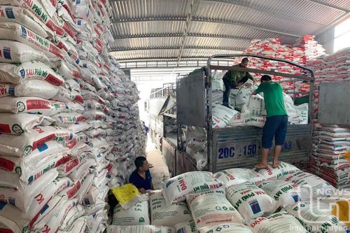 Đảm bảo vật tư cho nông dân