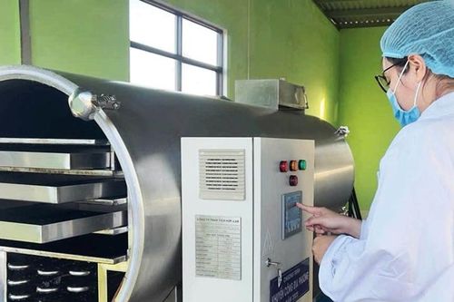 Sản xuất, kinh doanh hiệu quả hơn nhờ vốn khuyến công