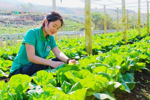 Nậm Pồ khởi sắc với những chính sách phát triển kinh tế vùng đồng bào dân tộc thiểu số và miền núi