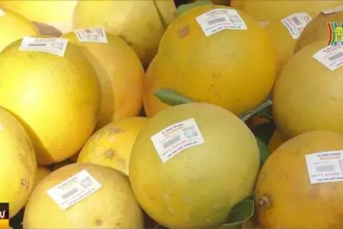 Hà Nội – Hưng Yên liên kết thúc đẩy tiêu thụ nông sản
