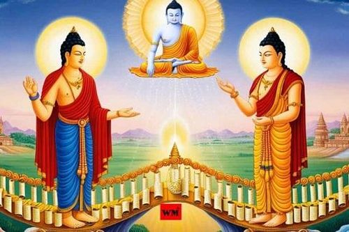 Giá trị, sự chăm sóc và nuôi dưỡng tình bạn Dharma (Phần 1)