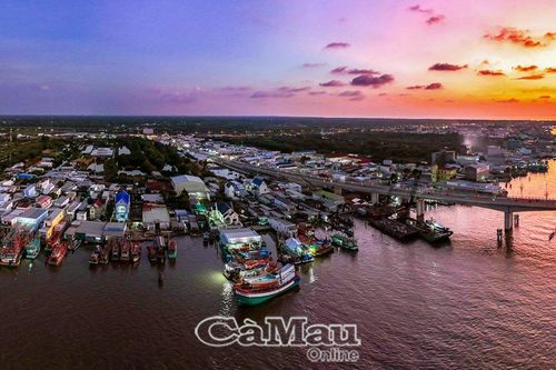 Cá về lúc hừng đông