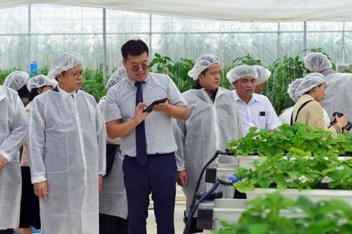 Hàn Quốc tài trợ gần 2,9 triệu USD cho dự án chuỗi giá trị nông sản an toàn