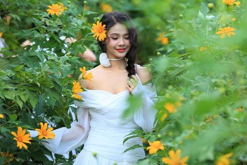 Giới trẻ ngỡ ngàng với vườn hoa dã quỳ đẹp mê lòng người xuất hiện ngay trong lòng Hà Nội