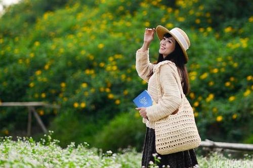 Ngỡ ngàng vườn hoa tam giác mạch miền sơn cước bung nở giữa lòng Thủ đô