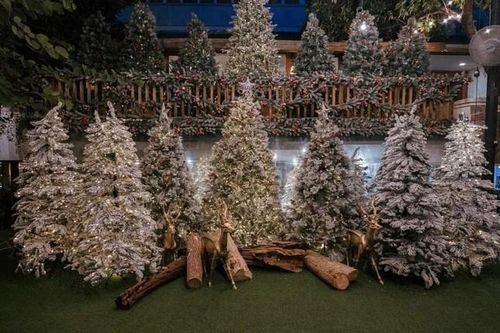 TP.HCM: Top địa điểm chụp ảnh Giáng sinh chất như Noel trời Âu không thể bỏ qua