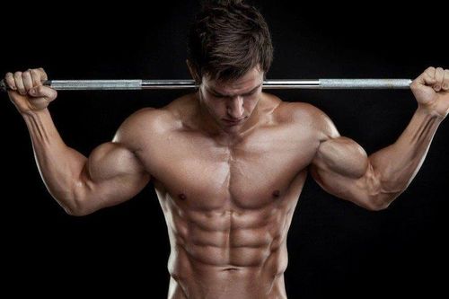 Lịch sử nghiên cứu cơ thể con người