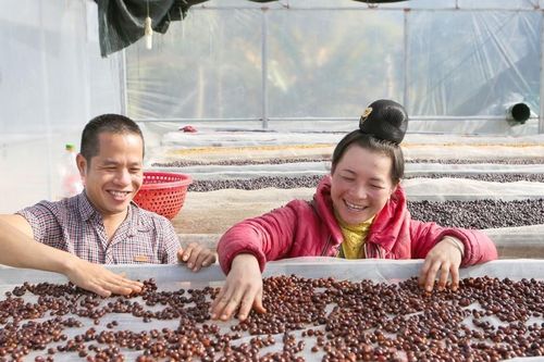 Sơn La vươn mình trở thành trung tâm chế biến nông sản hàng đầu
