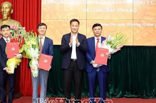 Bổ nhiệm Phó Chánh Văn phòng Tỉnh ủy, chỉ định Phó Bí thư Huyện ủy