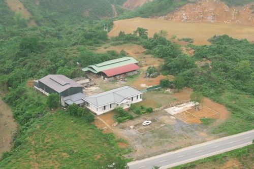 Chấm dứt dự án chăn nuôi bò Mông tại Bắc Kạn