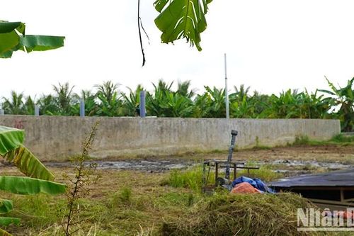 Đồng Tháp xử phạt vi phạm hành chính công ty gây ô nhiễm môi trường