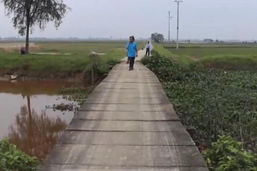 Qua cầu mà run!
