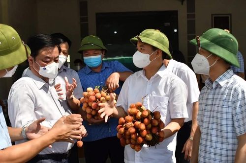 Bộ trưởng Bộ NN-PTNT đoạt giải cuộc thi viết về nông nghiệp, nông dân, nông thôn Việt Nam