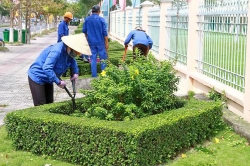 Bình Dương: Gói dịch vụ công ích đô thị gần 4 tỷ đã có chủ