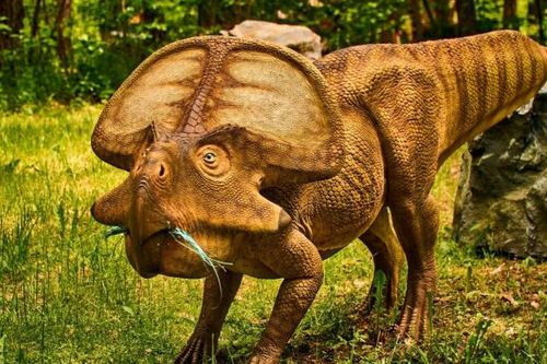 Nghiên cứu: Khủng long kém thông minh hơn theo thời gian, con người cũng có thể như vậy