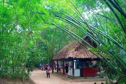 Địa đạo Củ Chi, đường sách TP.HCM, chợ Bến Thành là điểm du lịch hấp dẫn của TP.HCM