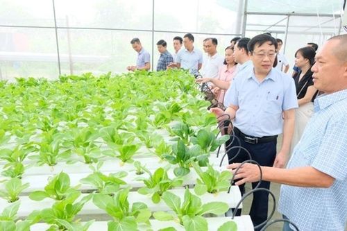 Bước tiến dài trong chương trình xây dựng nông thôn mới ở Sóc Sơn