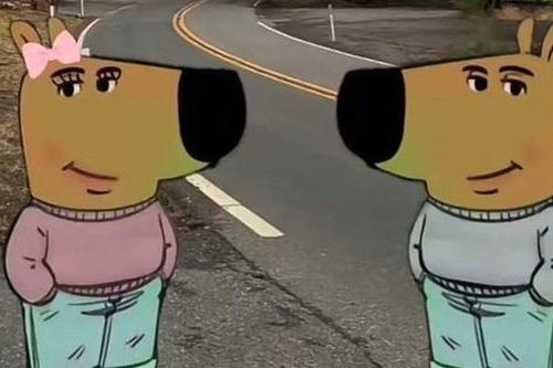Meme Chill Guy đang gây bão thị trường tiền điện tử