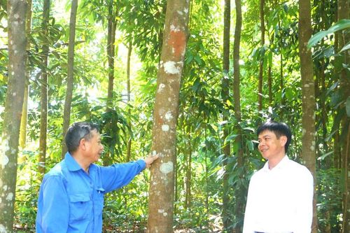 Tròn việc Đảng, trọn việc dân