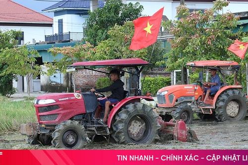 Rộn ràng mùa lúa mới
