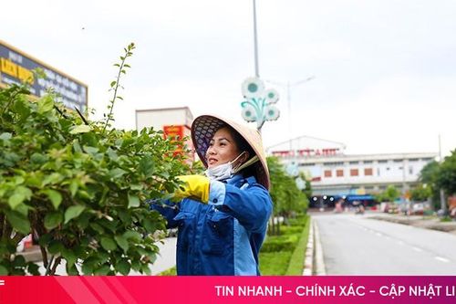 Thị xã Kỳ Anh tập trung 'phủ xanh' đô thị