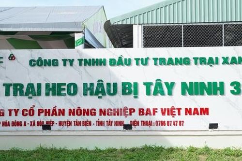 Sau khi thâu tóm loạt doanh nghiệp, BAF bổ nhiệm 2 Phó Tổng Giám đốc mới