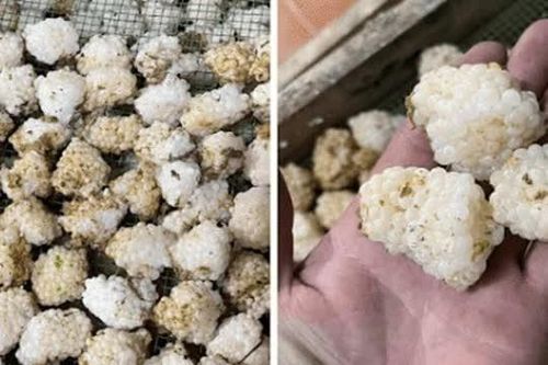 Có một loại trứng không dùng để ăn, được bán với giá 800 nghìn đồng/kg vẫn cháy hàng