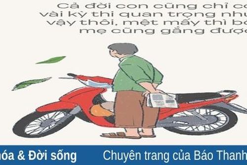 Những 'chuyến xe' trên lưng cha