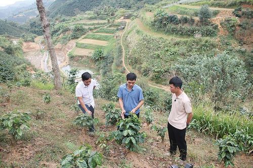 Tây Bắc phát triển nông nghiệp sinh thái - tuần hoàn