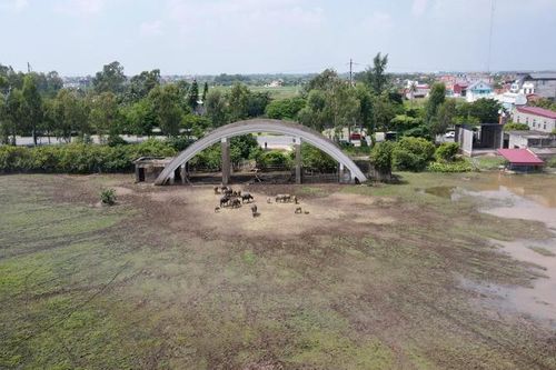 Hải Phòng thu hồi 13 dự án vi phạm đất đai theo nghị quyết của Hội đồng nhân dân