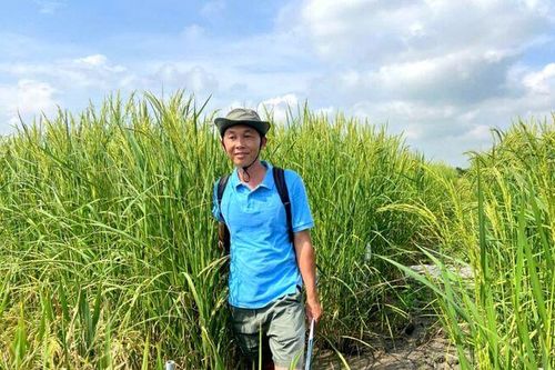 Nỗ lực bảo tồn lúa mùa nước nổi