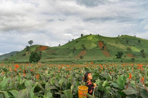 Bây giờ đang thắm mùa hoa